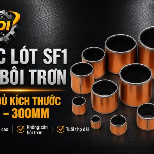 Bạc lót SF1