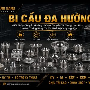 Bi Cầu Đa Hướng