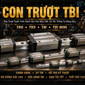 Con trượt TBI