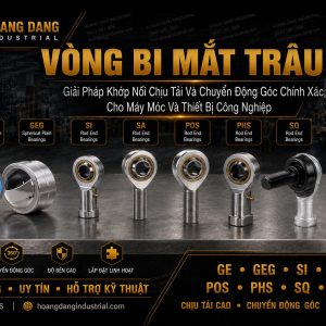 Vòng bi mắt trâu